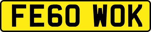 FE60WOK