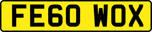 FE60WOX