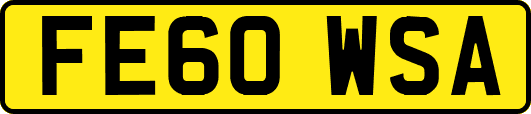 FE60WSA