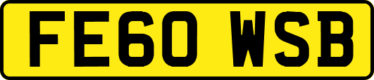FE60WSB