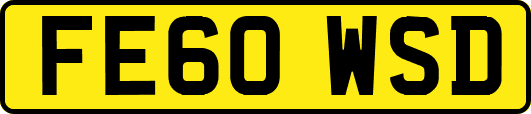 FE60WSD