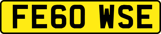 FE60WSE