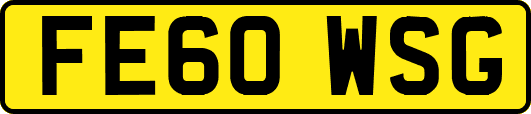 FE60WSG