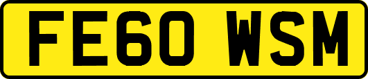 FE60WSM