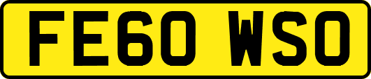 FE60WSO