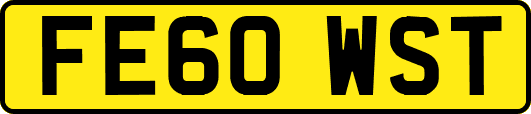 FE60WST