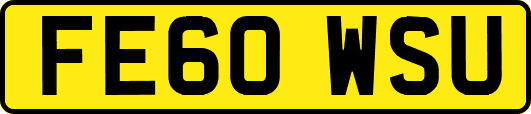 FE60WSU