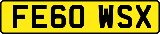 FE60WSX