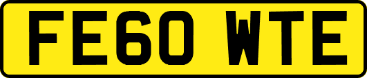 FE60WTE