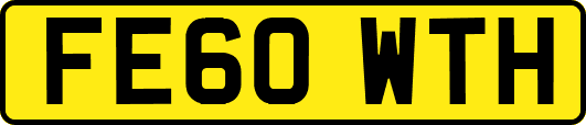 FE60WTH