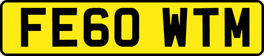 FE60WTM