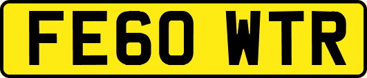 FE60WTR