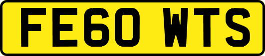 FE60WTS