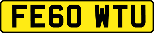 FE60WTU