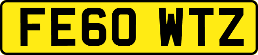 FE60WTZ