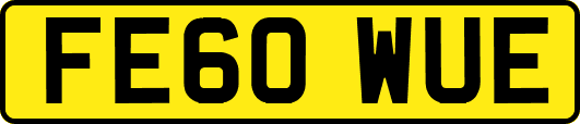 FE60WUE