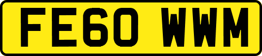 FE60WWM