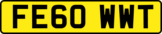 FE60WWT