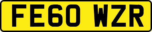 FE60WZR