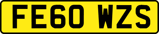 FE60WZS
