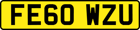 FE60WZU