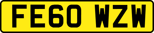 FE60WZW