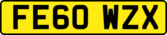 FE60WZX