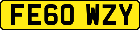 FE60WZY
