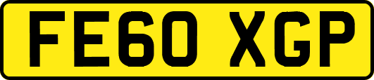 FE60XGP