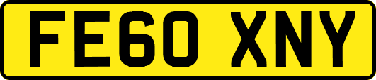 FE60XNY