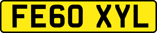 FE60XYL