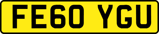 FE60YGU