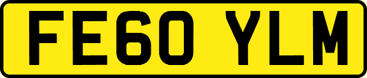 FE60YLM