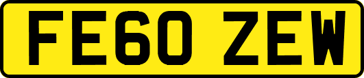 FE60ZEW