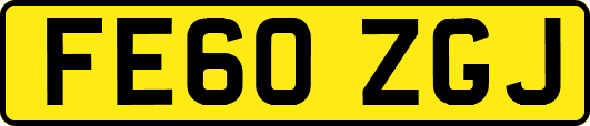 FE60ZGJ