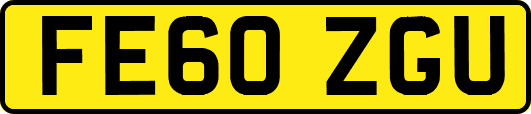 FE60ZGU