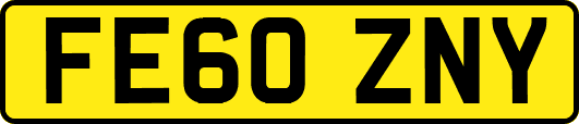 FE60ZNY