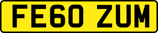 FE60ZUM