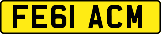FE61ACM