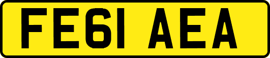 FE61AEA