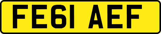 FE61AEF