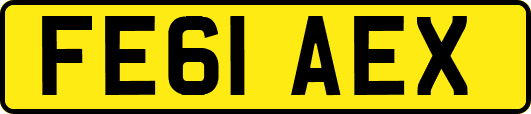 FE61AEX