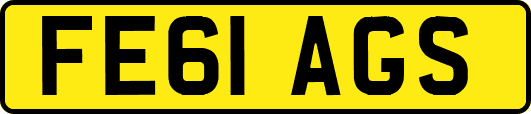FE61AGS