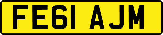 FE61AJM