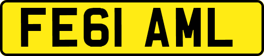 FE61AML