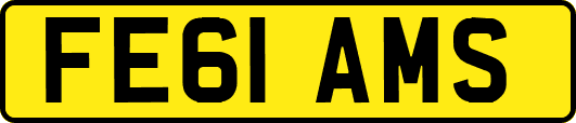 FE61AMS