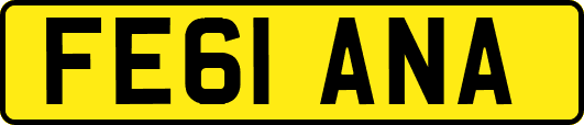 FE61ANA