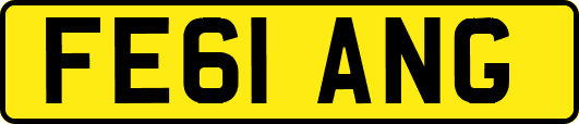 FE61ANG
