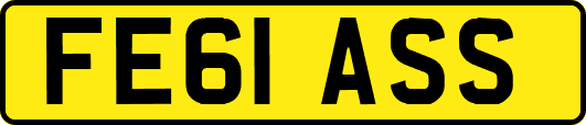 FE61ASS