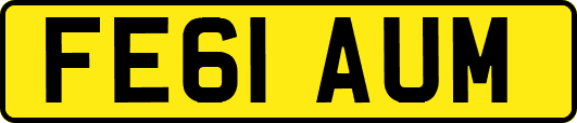 FE61AUM